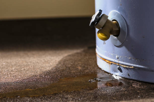 Best Local water damage restoration  in Alexandria Bay, NY