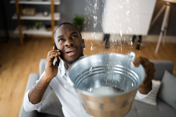 Best Flooded house restoration  in Alexandria Bay, NY