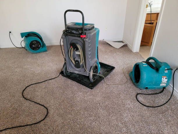Best Carpet water damage restoration  in Alexandria Bay, NY