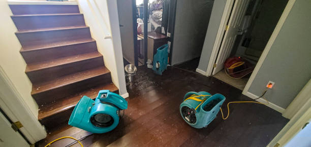 Best Flood damage cleanup  in Alexandria Bay, NY