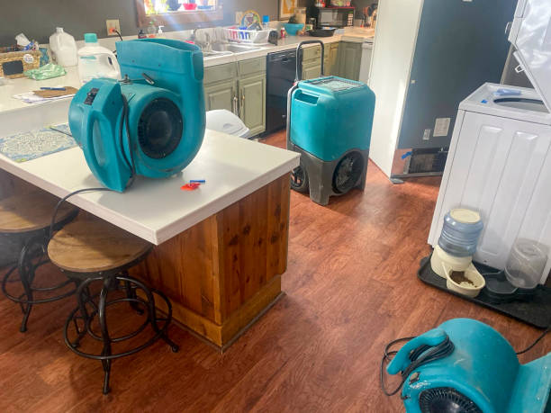 Best 24/7 water damage repair  in Alexandria Bay, NY