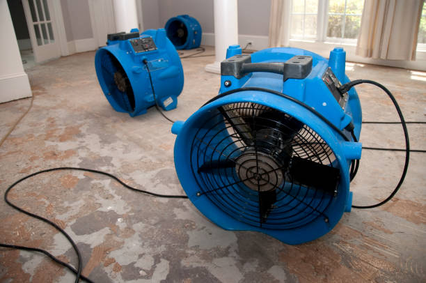 Best 24-hour water damage restoration  in Alexandria Bay, NY