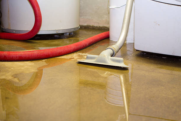 Best Professional water damage repair  in Alexandria Bay, NY
