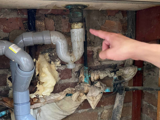 Best Flood restoration services  in Alexandria Bay, NY