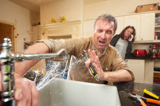 Best Water damage cleanup near me  in Alexandria Bay, NY